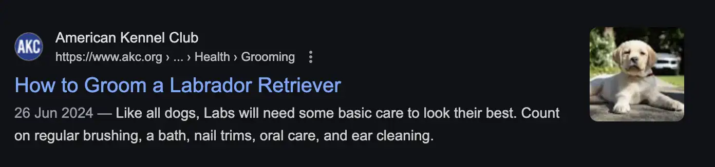 A SERP for a Labrador grooming company